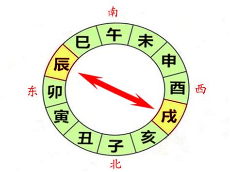 八字辰戌丑未|什么是 辰、戌、丑、未？它们代表了什么意思？